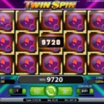 Twin Spin gokkast